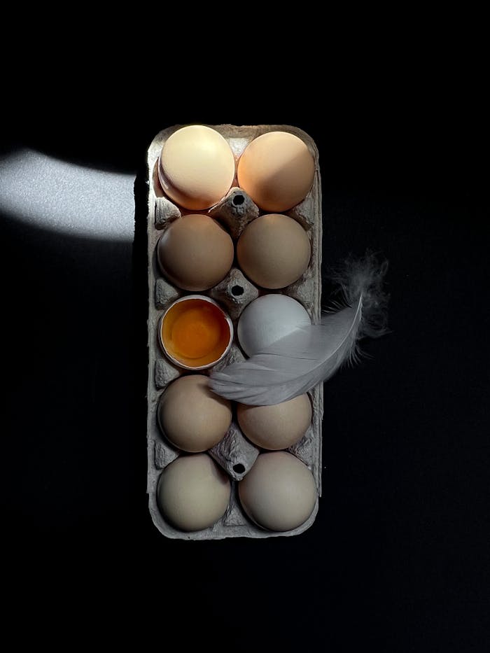 Egg carton with a feather and cracked egg yolk on a dark background, showcasing moody lighting.