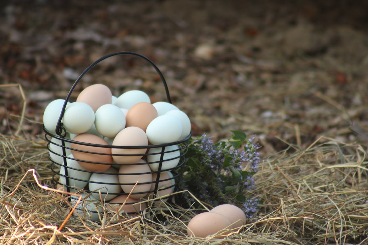 cta-01 A basket of farm eggs surrounded by straw and flowers, symbolizing new life in spring.