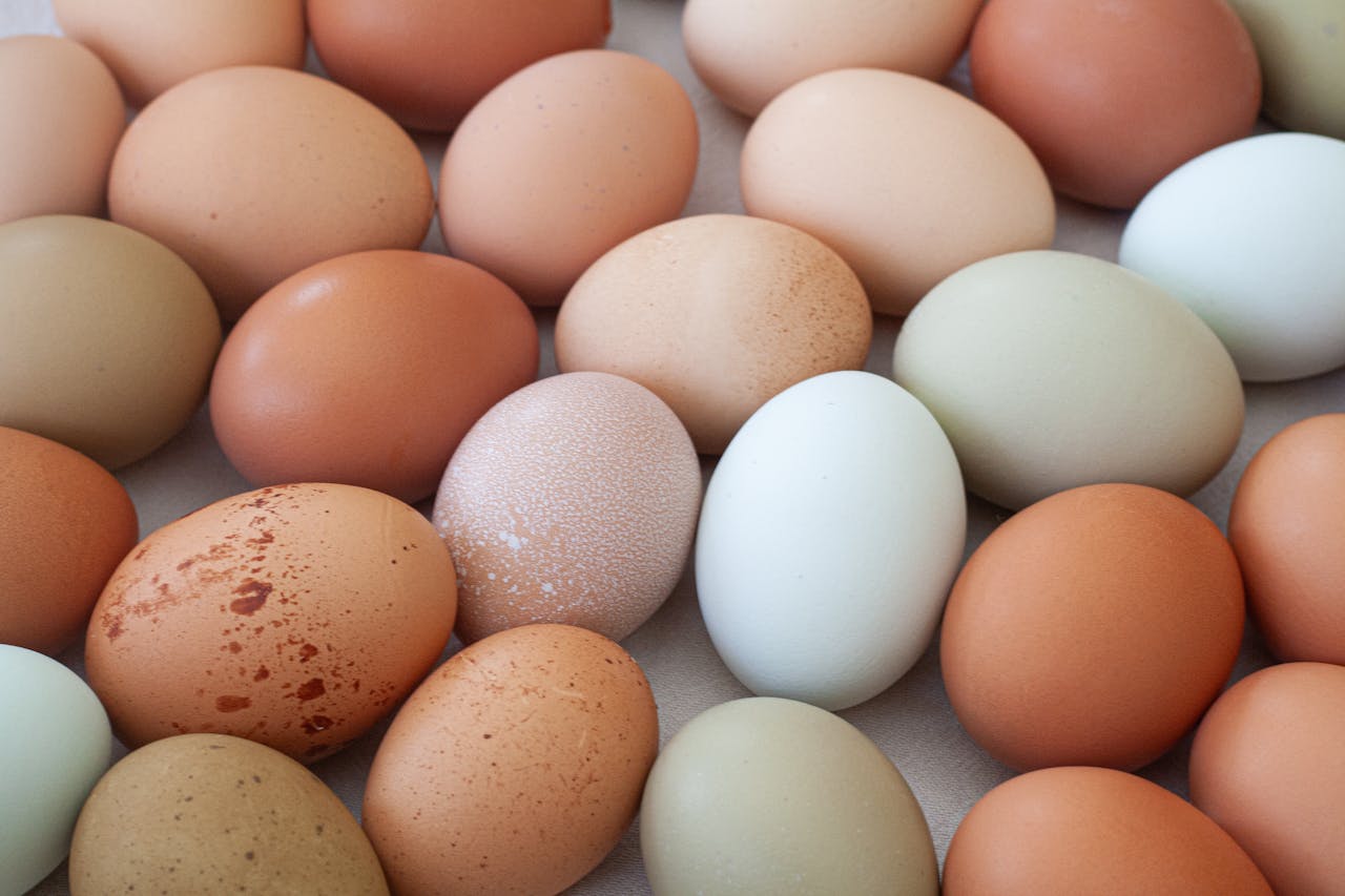 An assortment of farm fresh eggs in beige, brown, and green shades displayed closely.