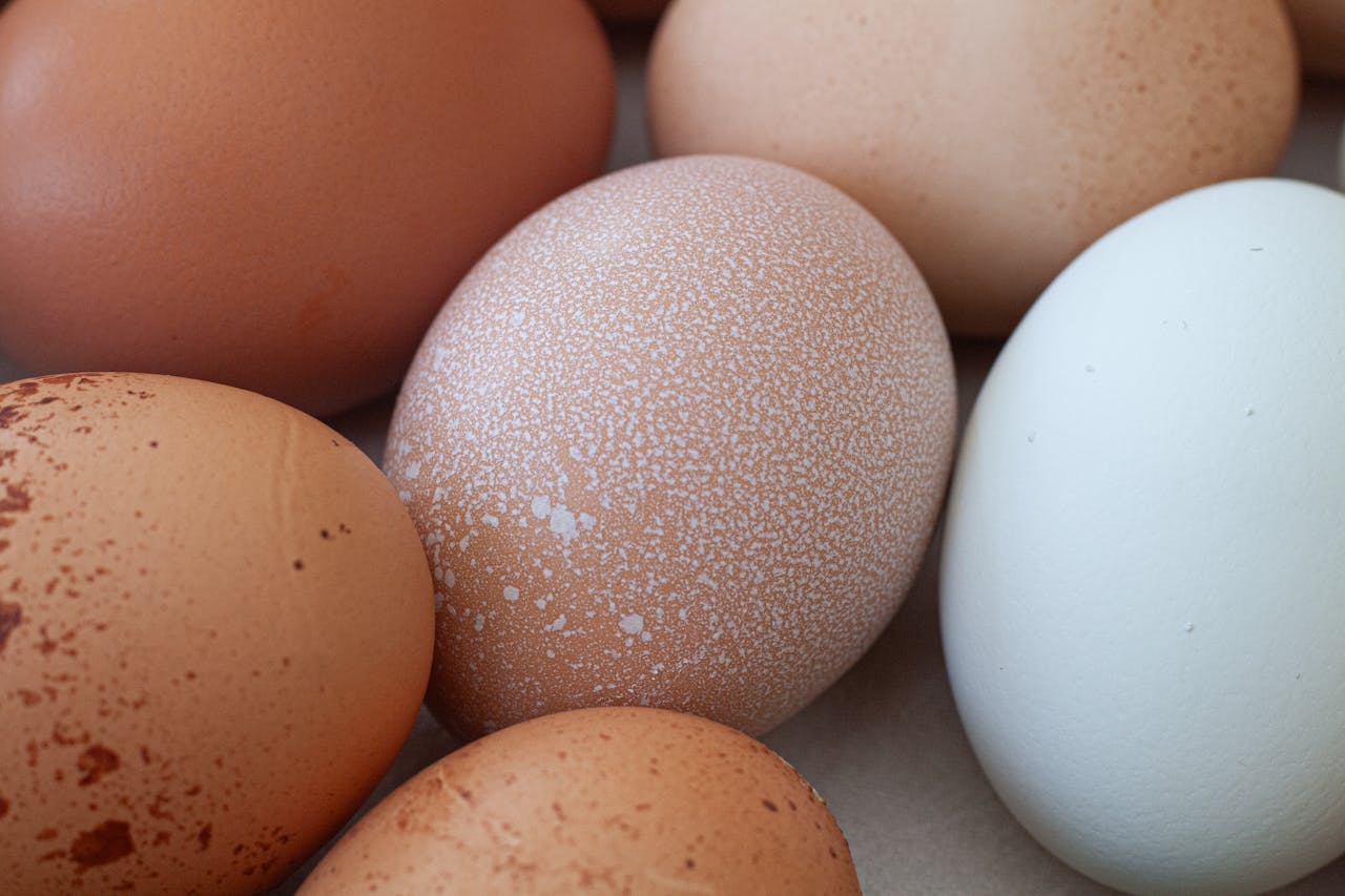 hero-gallery-04 A detailed close-up of diverse farm fresh eggs showcasing natural texture and color variations.