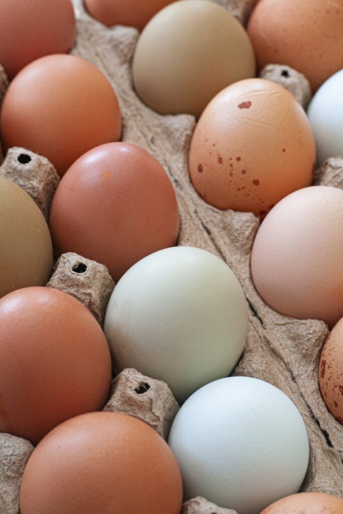 pexels photo 30805253 Close-up of colorful farm fresh eggs in a carton showing natural variation.