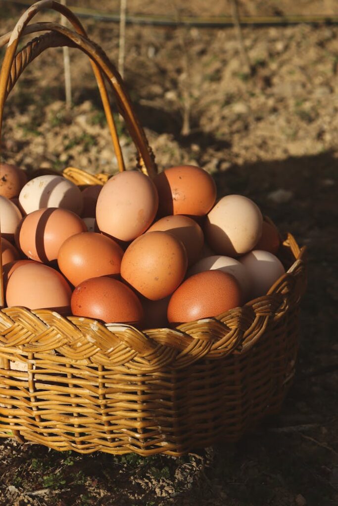 pexels photo 31037330 A wicker basket filled with fresh brown and white eggs outdoors, capturing the essence of farm life.