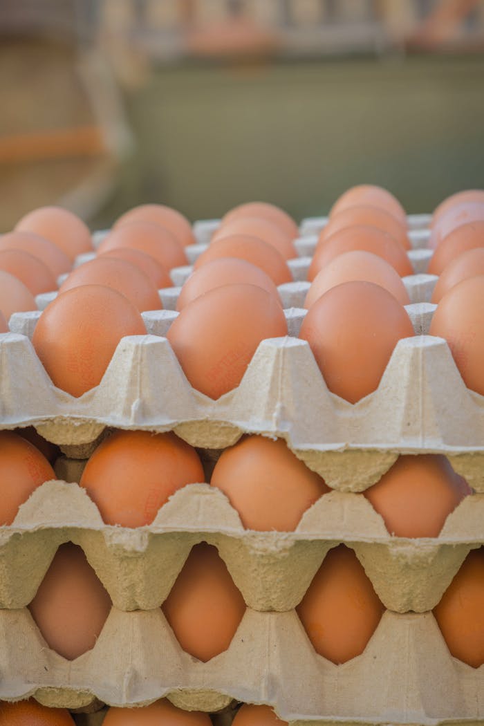 gallery-img-05 Close-up of fresh organic eggs neatly arranged in cartons at a local farmers market.