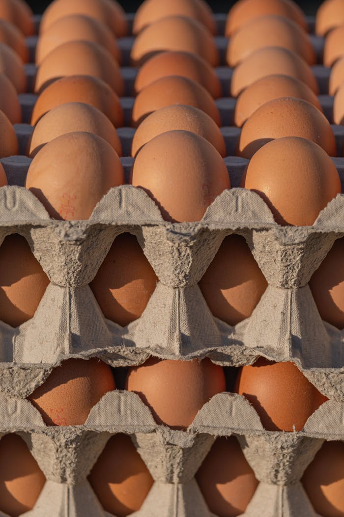 gallery-img-01 Close-up of organic brown eggs in eco-friendly cartons, perfect for sustainable food themes.