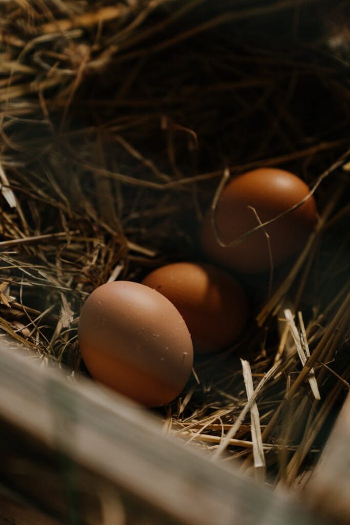 pexels photo 4911724 Close-up of brown eggs nestled in straw, evoking a farm-fresh, rural vibe.