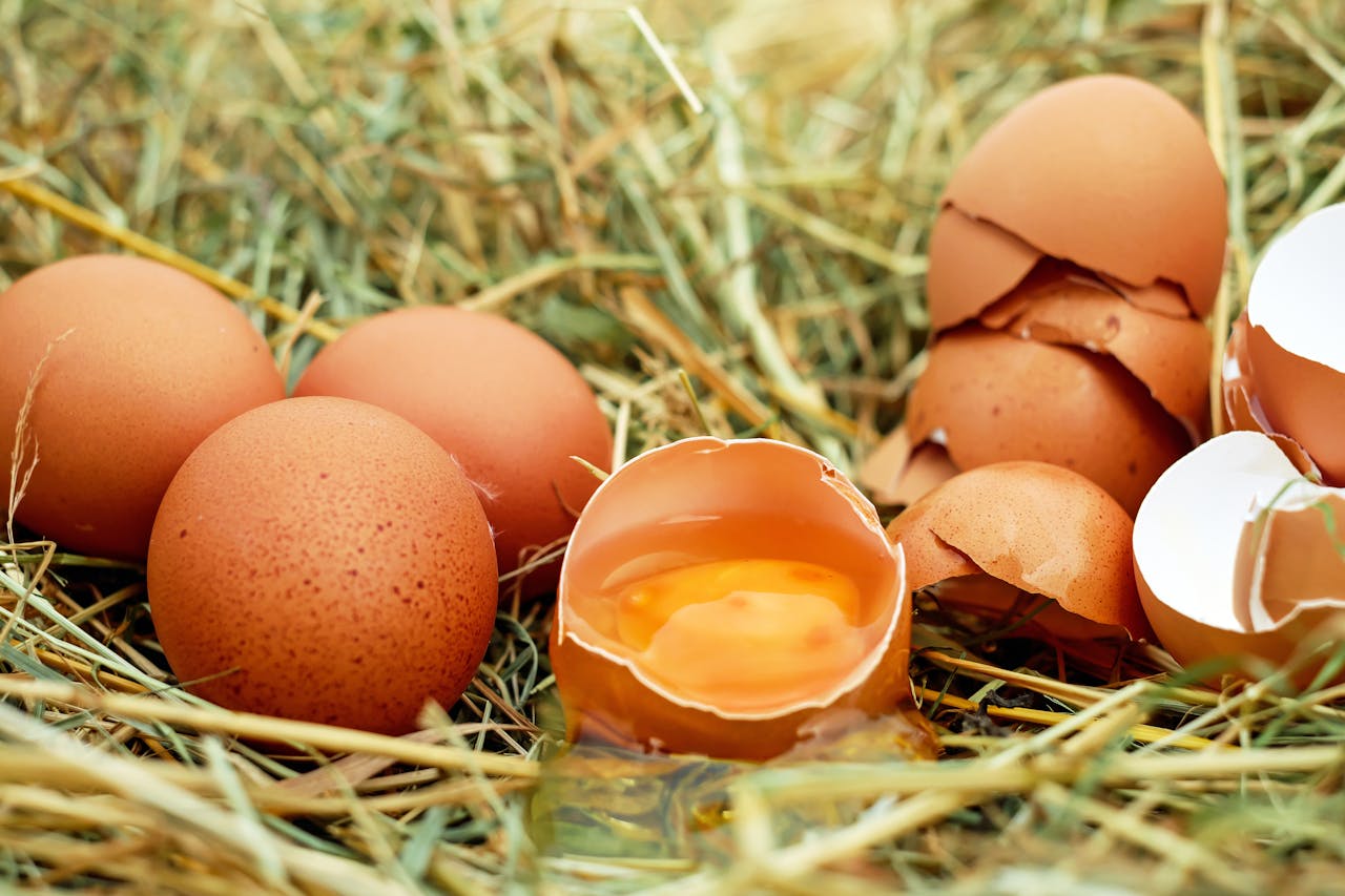 gallery-img-06 Close-up of fresh brown eggs in a nest with straw, featuring cracked shells.