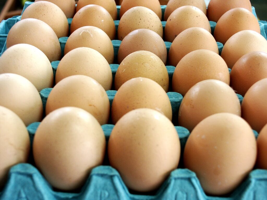 pexels photo 8556246 Close-up of fresh brown eggs arranged in a blue egg carton tray, providing a top view perspective.