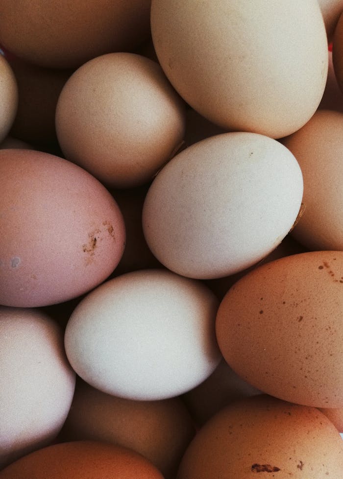 gallery-img-04 A detailed close-up shot of organic chicken eggs showcasing their natural, earthy tones.
